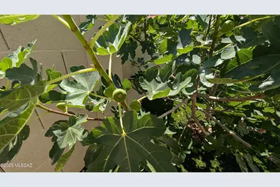 21511 E Prospector Place, Red Rock, AZ 85145 - Photo 29