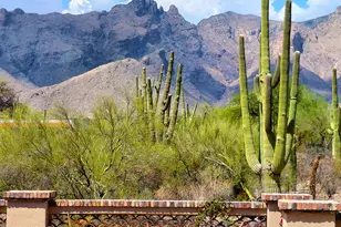 6060 N Piedra Seca, Tucson, AZ 85718 - Photo 5