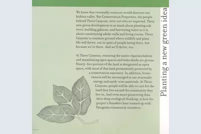 880 Side Oats Lane #190, Patagonia, AZ 85624 - Photo 33