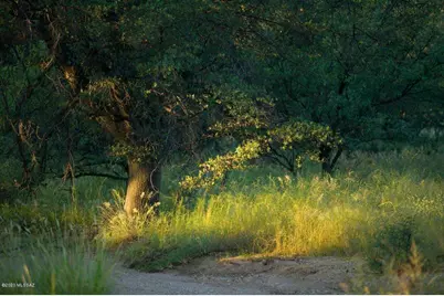 880 Side Oats Lane #190, Patagonia, AZ 85624 - Photo 5