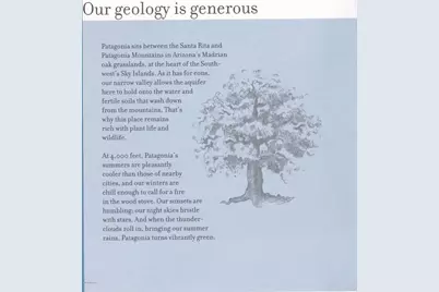 880 Side Oats Lane #190, Patagonia, AZ 85624 - Photo 35