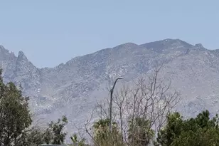 2147 S Winstel Ave, Tucson, AZ 85713 - Photo 9