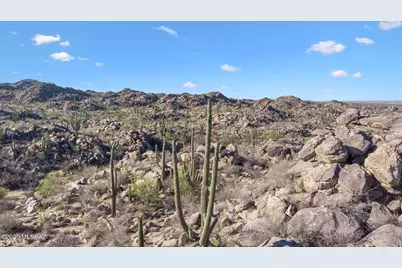 1429 Tortolita Mountain Ci Circle #469, Tucson, AZ 85755 - Photo 5