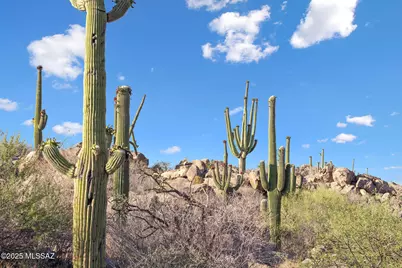 1429 Tortolita Mountain Ci Circle #469, Tucson, AZ 85755 - Photo 15