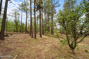 1259 Penrod, Pinetop, AZ 85935 - Photo 27