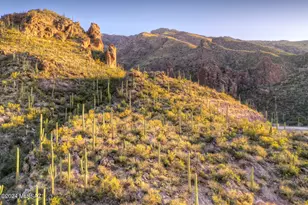 6940 N Flying Vw Pl, Tucson, AZ 85750 - Photo 11