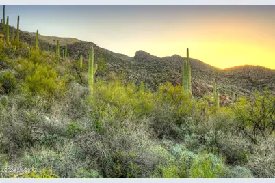 6940 N Flying View Place, Tucson, AZ 85750 - Photo 15