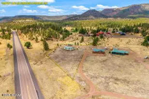 16 N 2258, Alpine, AZ 85920 - Photo 3