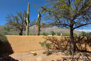 6651 N Campbell Ave, Tucson, AZ 85718 - Photo 1