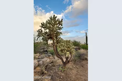 14421 Phinny Rock Place #48, Marana, AZ 85658 - Photo 15