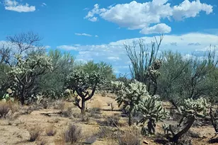 14Xxx Diamond Bell Rd Pl, Tucson, AZ 85736 - Photo 5