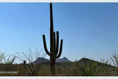 5593 Park Ridge Place, Tucson, AZ 85743 - Photo 23