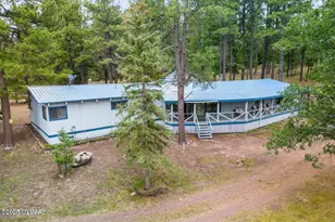 52 County Rd 2271, Alpine, AZ 85920 - Photo 1