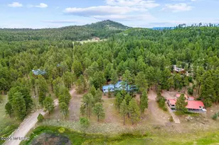 52 County Rd 2271, Alpine, AZ 85920 - Photo 33