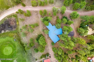 52 County Rd 2271, Alpine, AZ 85920 - Photo 35