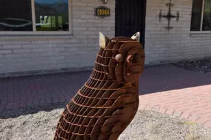 4920 N Placita Santolina, Tucson, AZ 85749 - Photo 7