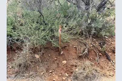 15 Acres Camino Chuboso #20, Vail, AZ 85641 - Photo 15