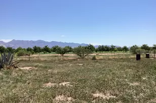 10023 N Bell Rd, Elfrida, AZ 85610 - Photo 45