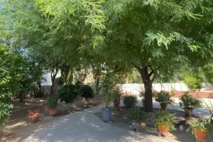 7921 N Casas Carmen, Tucson, AZ 85742 - Photo 39