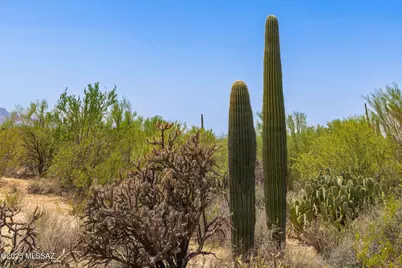 4655 Camino De Manana #G, Tucson, AZ 85742 - Photo 17