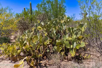 4655 Camino De Manana #H, Tucson, AZ 85742 - Photo 21