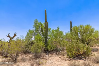 4655 Camino De Manana #H, Tucson, AZ 85742 - Photo 13