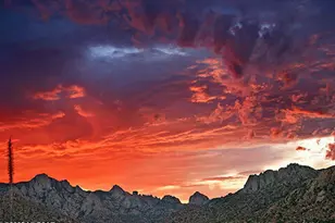 5782 E de Vaca Cir, Saint David, AZ 85630 - Photo 1