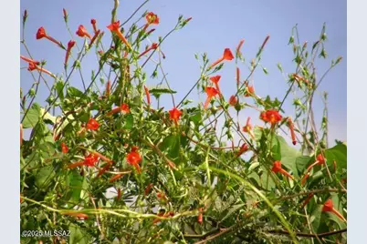 5782 E De Vaca Circle #18, Saint David, AZ 85630 - Photo 23