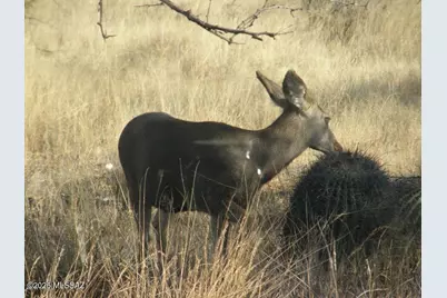 5782 E De Vaca Circle #18, Saint David, AZ 85630 - Photo 15