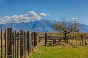 31728 S Summerwind Dr, Oracle, AZ 85623 - Photo 49