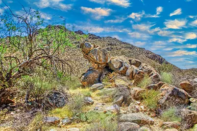 14930 Cush Canyon Place #112, Marana, AZ 85658 - Photo 9