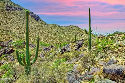 14930 Cush Canyon Place #112, Marana, AZ 85658 - Photo 11