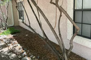 6435 N Tierra De Las Catalinas, Tucson, AZ 85718 - Photo 37