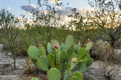 1079 Tortolita Mountain Circle #170, Oro Valley, AZ 85755 - Photo 21
