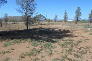 13242 S Kit Carson Rd, Pearce, AZ 85625 - Photo 47