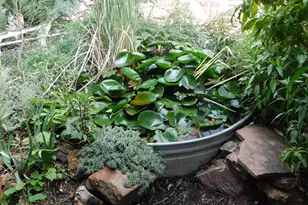 21 Temby Ave, Bisbee, AZ 85603 - Photo 41