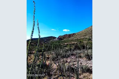 16231 Hillton Ranch Road, Vail, AZ 85641 - Photo 21