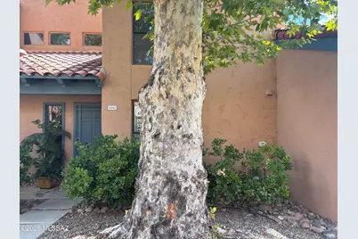 5362 N Calle Del Rocio, Tucson, AZ 85750 - Photo 45