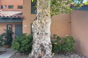 5362 N Calle Del Rocio, Tucson, AZ 85750 - Photo 45