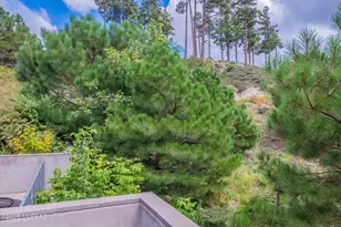 11308 E Bisbee Ave, Mt. Lemmon, AZ 85619 - Photo 49