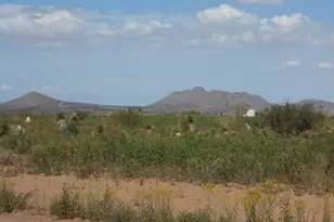 6159 E Pueblo Dr, Pearce, AZ 85625 - Photo 11