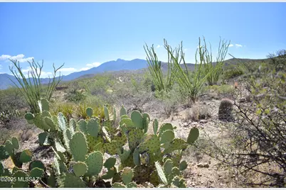 8231 Pistol Hill Road, Vail, AZ 85641 - Photo 17