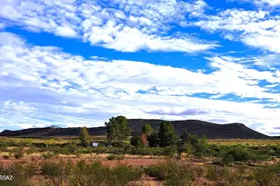 653 E Border Rd, Bisbee, AZ 85603 - Photo 27