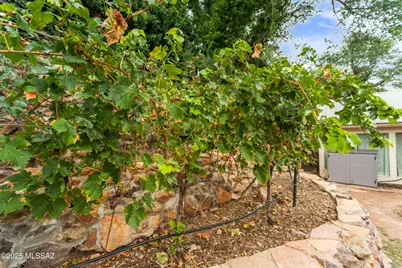 428D Brophy Avenue, Bisbee, AZ 85603 - Photo 5