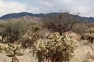 Multiple Diamond Bell Ranch Rd, Tucson, AZ 85736 - Photo 9