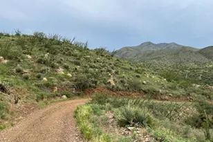 Goodenough Trail, Vail, AZ 85641 - Photo 5