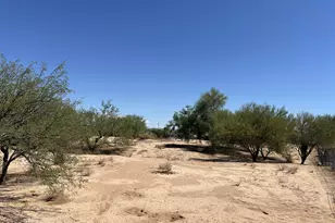 14843 W Hayloft Trail, Tucson, AZ 85736 - Photo 19