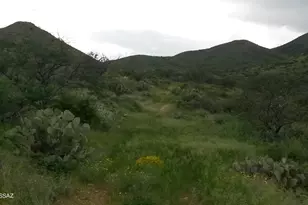 Goodenough Trail, Vail, AZ 85641 - Photo 9