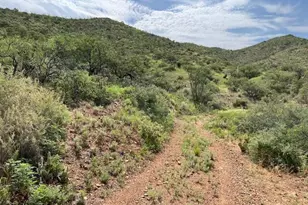 Goodenough Trail, Vail, AZ 85641 - Photo 5