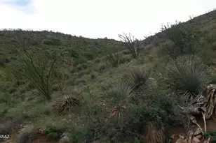 Goodenough Trail, Vail, AZ 85641 - Photo 7